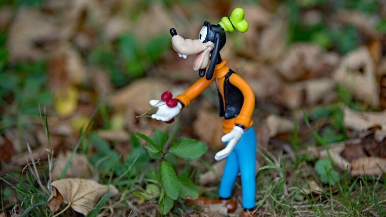 Jugendsprache - goofy Bedeutung