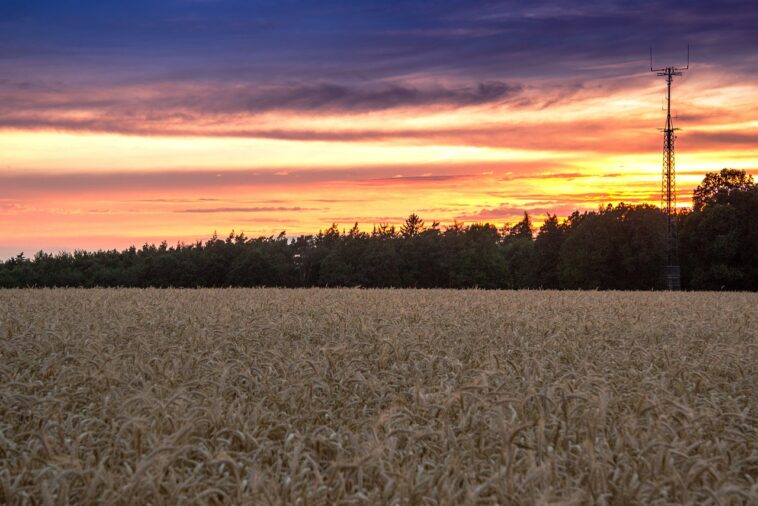 Wann ist Sommeranfang?