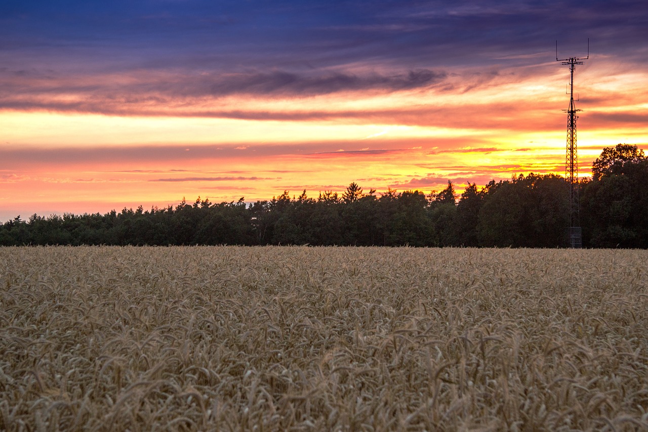 Wann ist Sommeranfang?